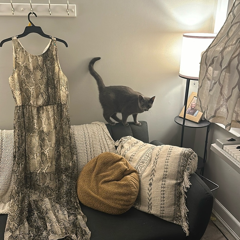 J. Taylor Snake print high-low dress